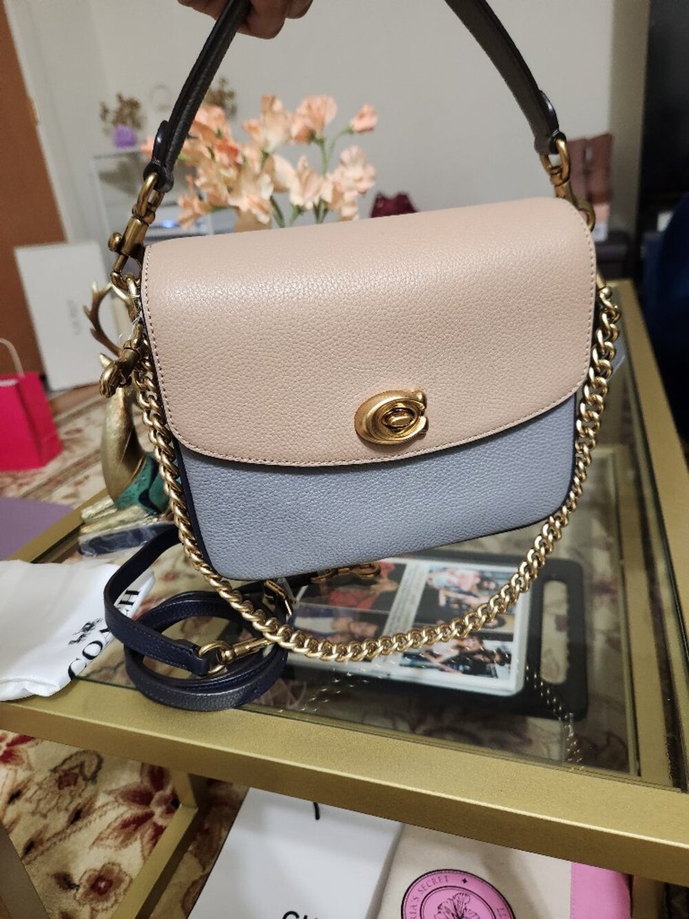Coach Colorblock Cassie 19 Bag in Brass/Taupe Granite Multi